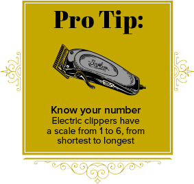 Pro Tip: Know your number. Electric clippers have a scale from 1 to 6, from shortest to longest.
